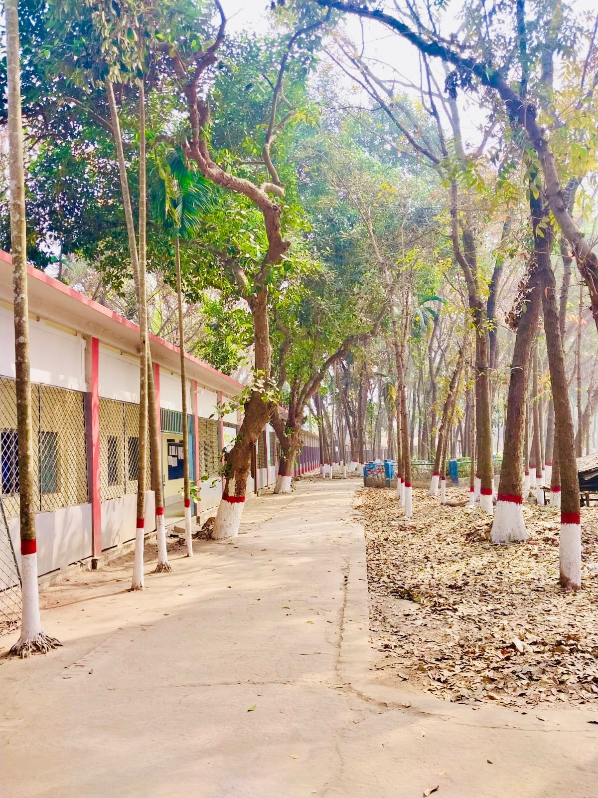 ক্যাম্পাস
